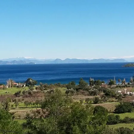 Paradise Вилла